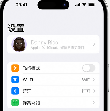 兰山appleID维修服务iPhone设置中Apple ID显示为灰色无法使用