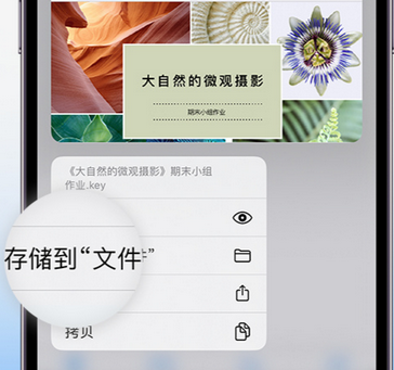 兰山apple维修中心分享iPhone文件应用中存储和找到下载文件