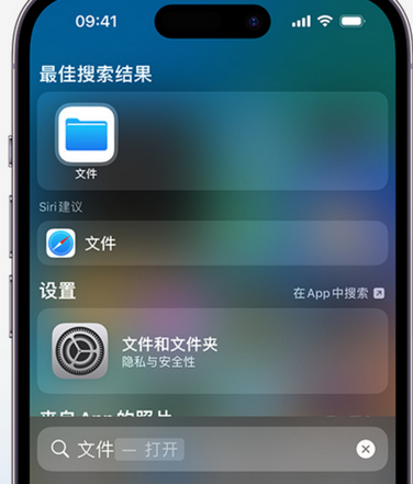 兰山apple维修中心分享iPhone文件应用中存储和找到下载文件 