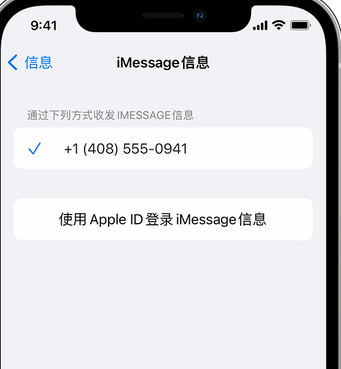 兰山apple维修iPhone上无法正常发送iMessage信息 