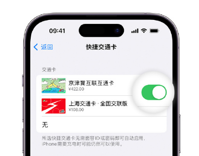 兰山apple维修点分享iPhone上更换Apple Pay快捷交通卡手绘卡面 