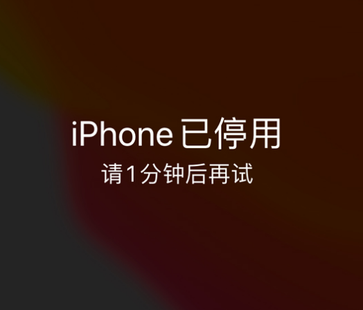 兰山苹果手机维修分享:iPhone 显示“不可用”或“已停用”怎么办？还能保留数据吗？ 