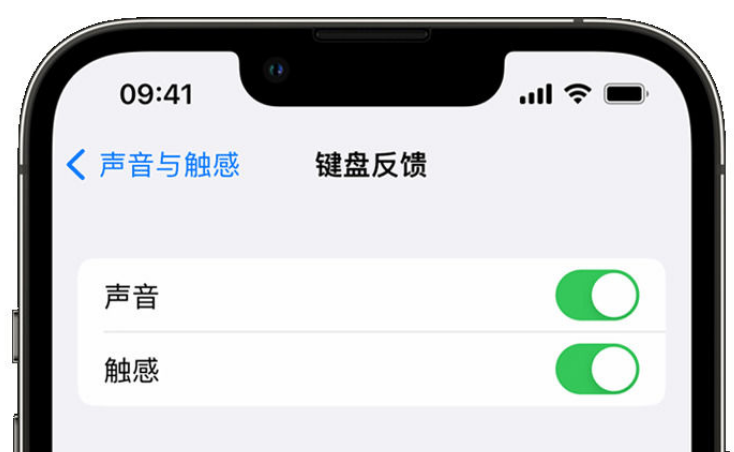 兰山苹果手机维修分享iPhone 14触感键盘使用方法 