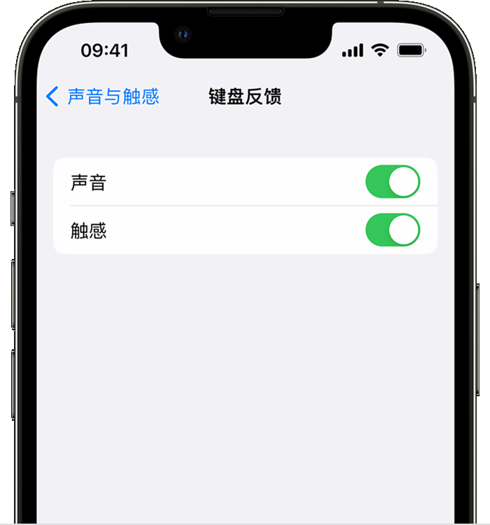 兰山苹果14维修店分享如何在 iPhone 14 机型中使用触感键盘 