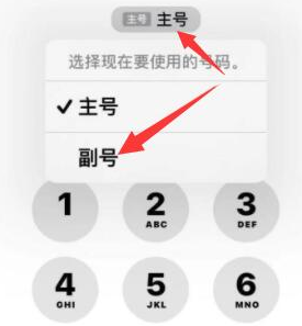 兰山苹果14维修店分享iPhone 14 Pro Max使用副卡打电话的方法 