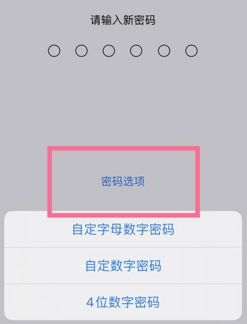 兰山苹果14维修分享iPhone 14plus设置密码的方法 