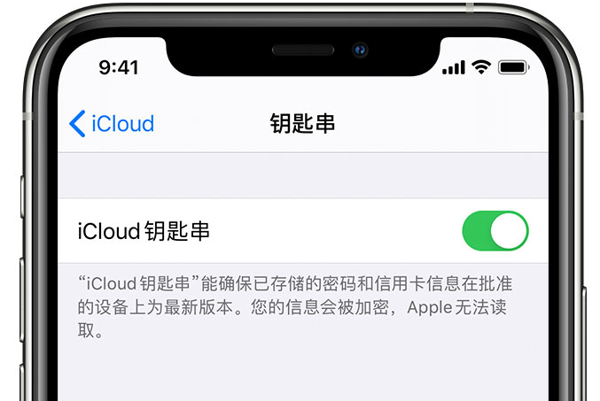 兰山苹果手机维修分享在 iPhone 上开启 iCloud 钥匙串之后会储存哪些信息 