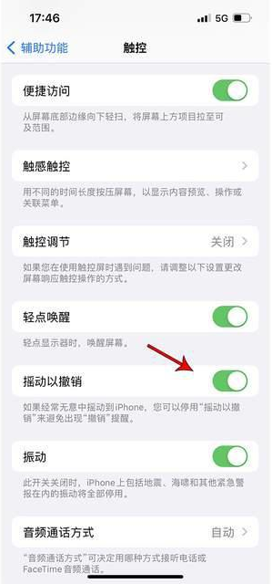 兰山苹果手机维修分享iPhone手机如何设置摇一摇删除文字 