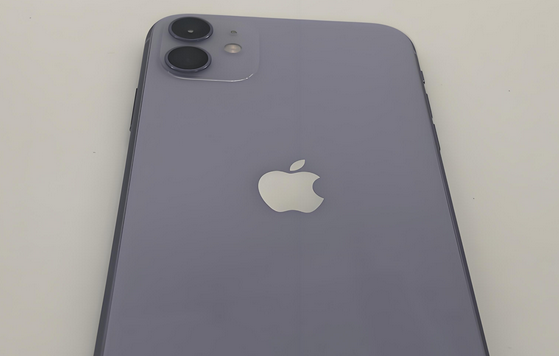 兰山苹果11系统维修分享iPhone11手机系统崩溃无法开机如何解决 